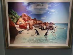 -帝企鹅自助餐厅•儿童岛•真企鹅(长隆企鹅酒店)