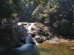 -九龙江国家森林公园