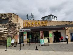 -世界恐龙谷景区