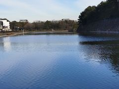 -名古屋城