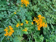 -鹫峰国家森林公园