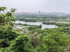 -绍兴镜湖国家城市湿地公园