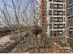 -绿岛公园(滨海新区)