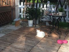 -鼎画艺术机构(贵都店)