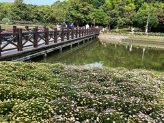 -上海鲜花港