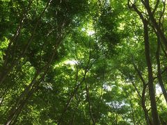 -崂山巨峰游览区