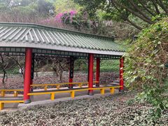 -金鸡山公园