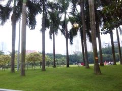 -东风公园