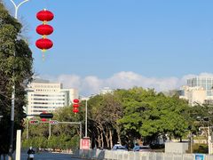 -深圳龙潭公园