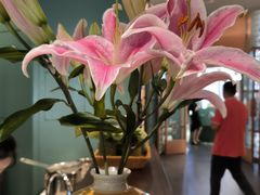 -南堂馆·新川菜(春熙路店)