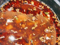 -聚乐城火锅(仁寿2023年餐饮名店)