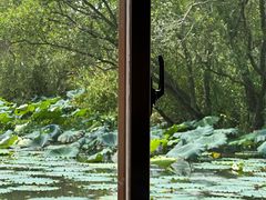 -烟水渔庄餐厅(西溪湿地店)