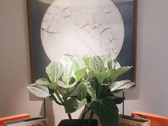 -顺峰(农展馆店)