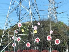 -高东镇樱花园