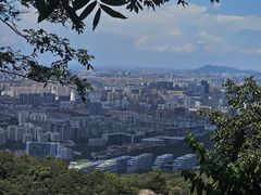-灵顺寺