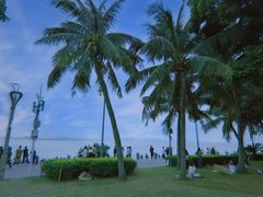 -深圳湾公园(南山区)