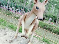 -合肥滨湖国家森林公园