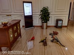 -刘健艺术钢琴学校·专注钢琴教育25周年(徐家汇校区)