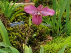 -国家植物园南园