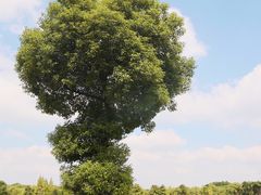 -山明水秀大饭店