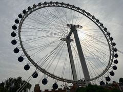 -北京石景山游乐园