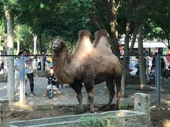 -长白岛森林公园