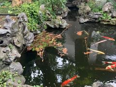 -鲤院·新中式美学·庭院餐厅(夫子庙店)