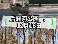 -后襄河公园