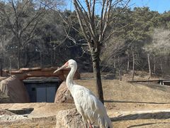 -沈阳森林动物园