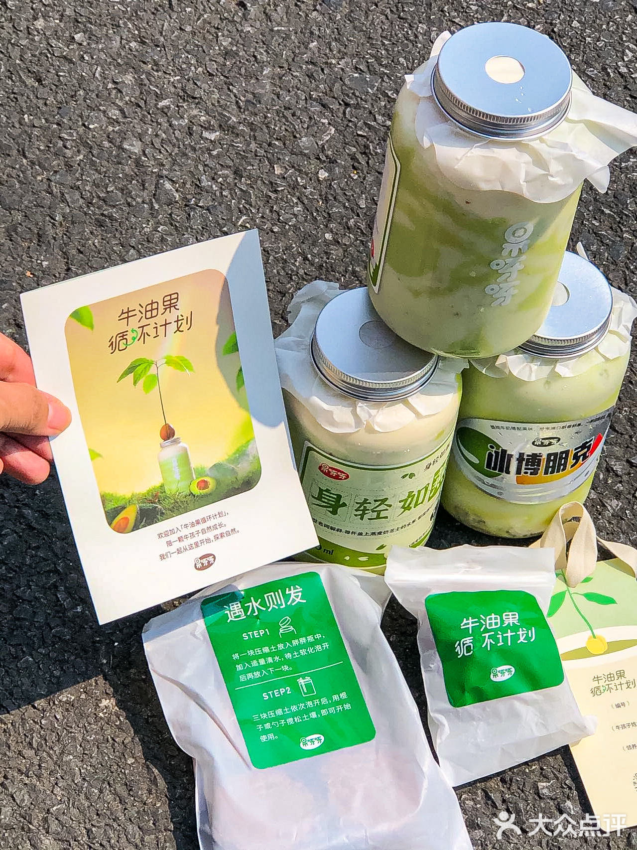 《关于我在长沙种下牛油果🥑这件事》