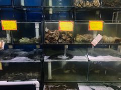 水产区-蚝专家(北滘店)