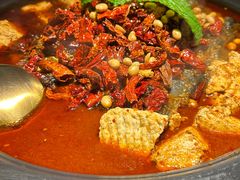 -万达广场(南宁青秀店)