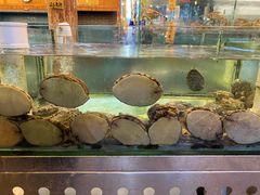 水产区-猪肉婆私房菜(容桂总店)