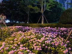 -青岛海滨风景区