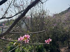 -小南山公园