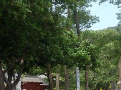 -青岛崂山太清宫