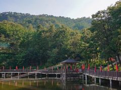-沂蒙山旅游区云蒙景区(蒙山国家森林公园)
