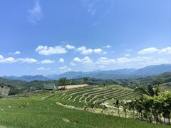 -牙胡梯田