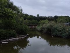 -鹦鹉寺公园