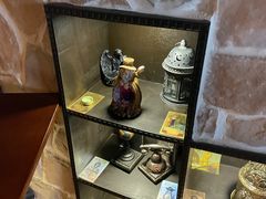 -雪灵魔法世界SHELLY’S TAROT(大良桂畔里店)