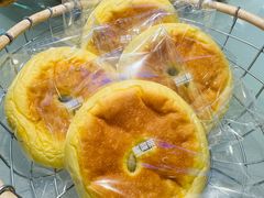 -TD66高山铁皮石斛养生茶饮