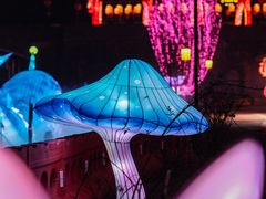 -慈城古县城景区