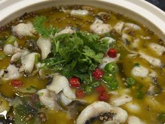 激情椒麻鱼-雅酌园·烟火南京菜(颐和路店)