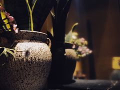 景观位-六月南洋(时代天街店)