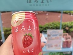 -美罗城