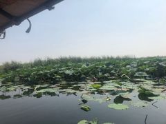 -白洋淀景区