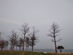-彩虹沙滩
