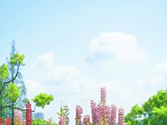 -苏州上方山国家森林公园