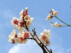 -静安雕塑公园