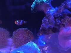 -瑞虹新天地月亮湾